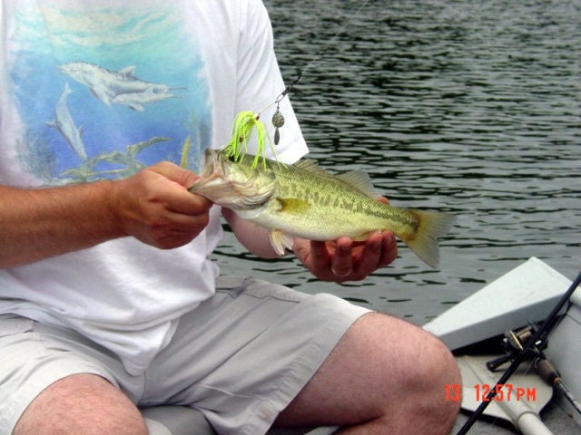 Another Small Bass with different Spinner Bait