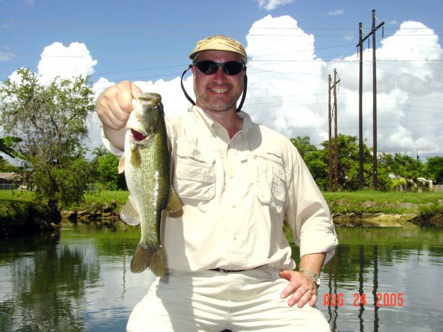 Small Largemouth Bass