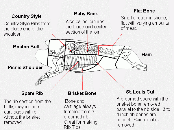 Diagram of where various cuts of pork are located on a pig.