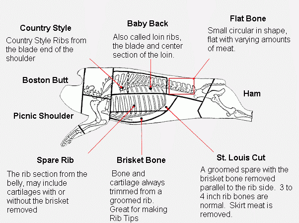 soup-bones-weight-bearing-bones