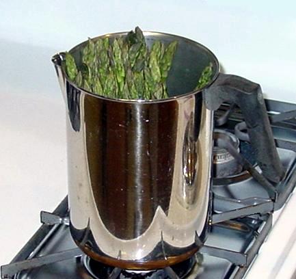 Asparagus in Coffee Pot