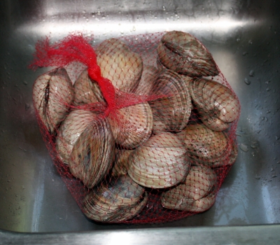 Cherrystone Clams