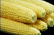 How long should I boil corn on the cob?